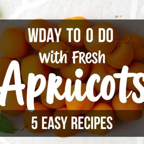 Fresh Apricots Are a Summer Goldmine—Here’s How to Use Them 2 out 0 104