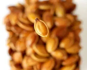 Savory roasted pumpkin seeds with spices and butter on a baking sheet
