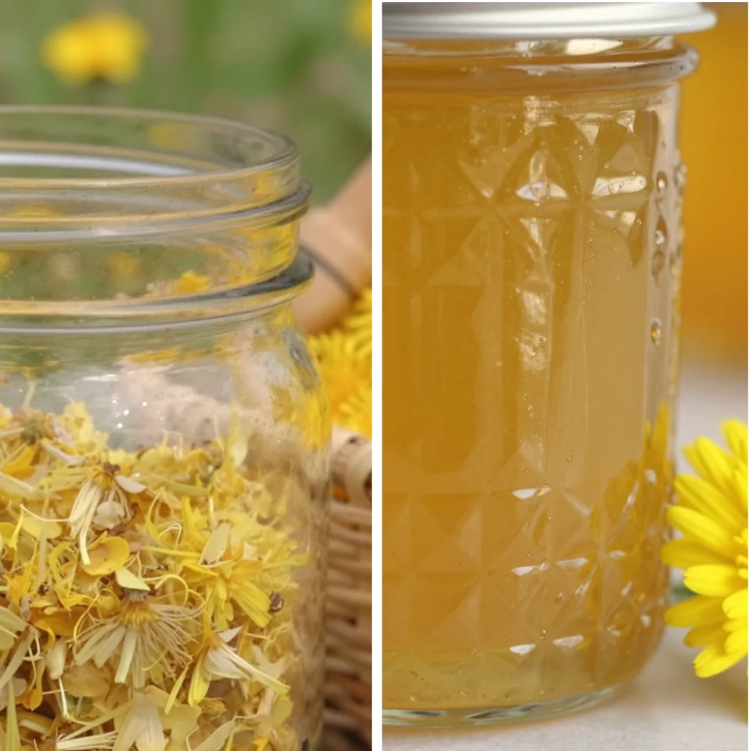 Dandelion Flower Jelly Home Comfort