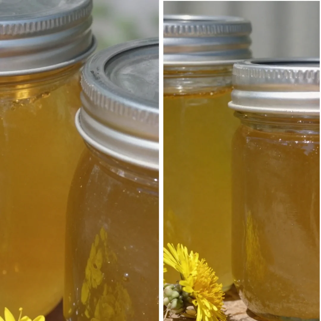 Dandelion Flower Jelly Home Comfort